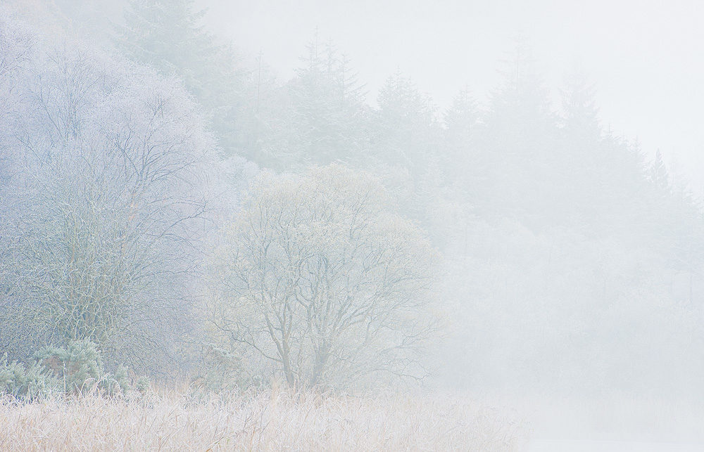 Wicklow 3